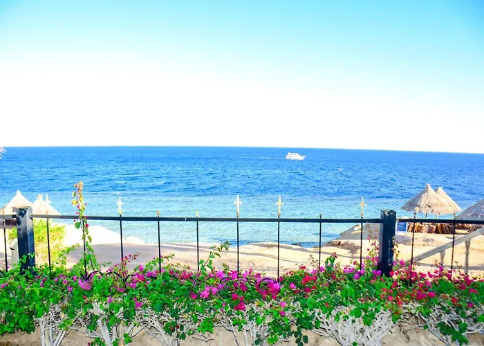 In Sheikh2 Charm el-Cheikh